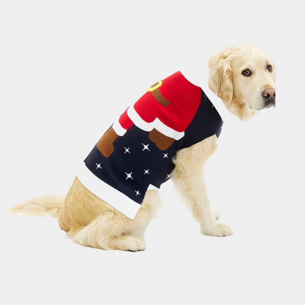 Pull Noël Chien